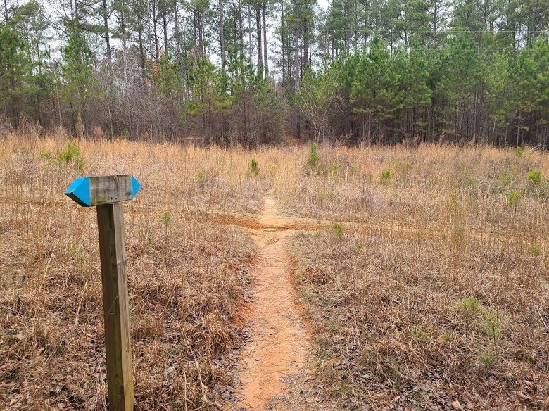 Chattahoochee bend 2024 state park hiking